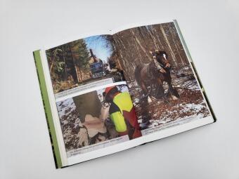 Der Wald der Zukunft