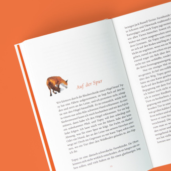 Das verborgene Leben der Füchse 