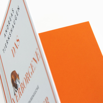 Das verborgene Leben der Füchse 