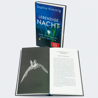 Lebendige Nacht