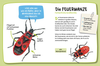 Mein erster Naturführer, Was krabbelt denn da?