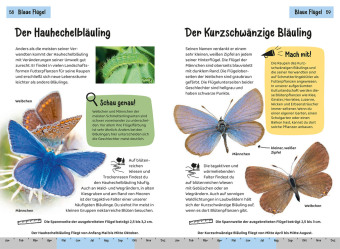 Welcher Schmetterling ist das? Kindernaturführer