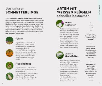 Basic Schmetterlinge