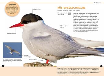 Lieblingsvögel