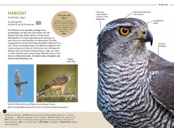 Lieblingsvögel