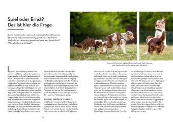 Moderne Welpenerziehung 