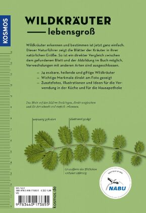 Wildkräuter am Blatt erkennen