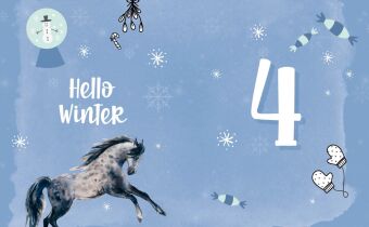 # ponylife - Mein Adventskalenderbuch - Von Lia und Lea