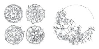 Blütentraum - Florale Motive ausmalen