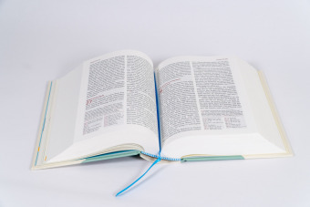 Neues Leben. Die Bibel für Kids