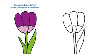 Ausmalbilder für Kita-Kinder: Das dicke Kindergarten-Malbuch: Auf der Wiese