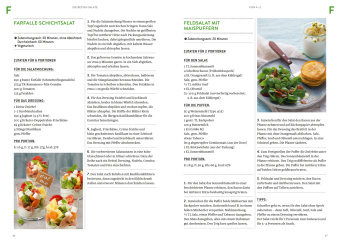 Die besten Salate von A-Z