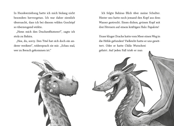 Reiz niemals einen Drachen (Band 2)