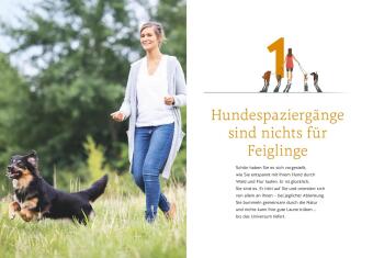 Gelassen Gassi gehen