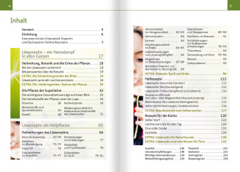 Löwenzahn - Wunderkraut für Resilienz und Lebenskraft. Kompakt-Ratgeber