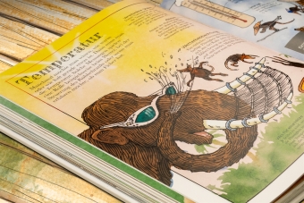 Das Mammut-Buch Mathematik