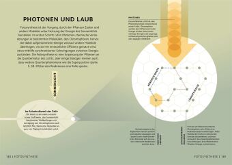 SIMPLY. Quantenphysik