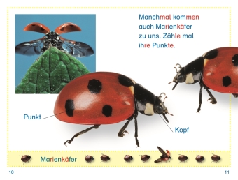SUPERLESER! Wer versteckt sich im Garten?