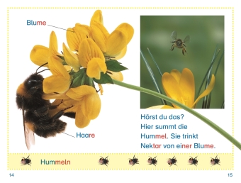 SUPERLESER! Wer versteckt sich im Garten?