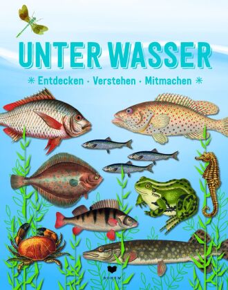 Der große Baumhauswettbewerb