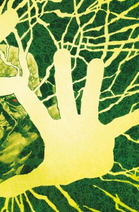 Swamp Thing: Das Vermächtnis des Grüns (Deluxe Edition)