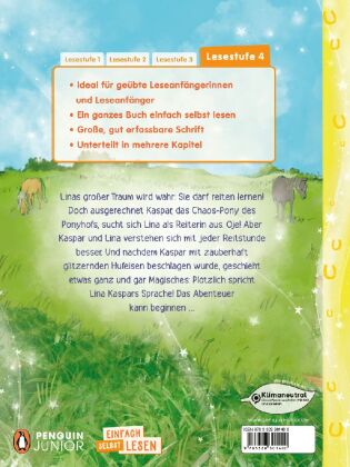 Zauberhufe - Unser magischer Ponyhof - Ein Chaos-Pony zum Verlieben