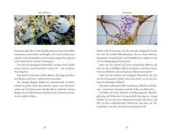 Kunstmomente