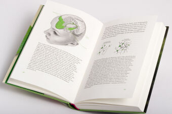 Kompass für die Seele 