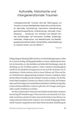 Praxisbuch Entwicklungstrauma heilen