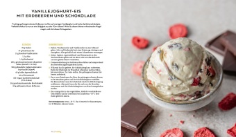 Die vegane Eis-Bibel