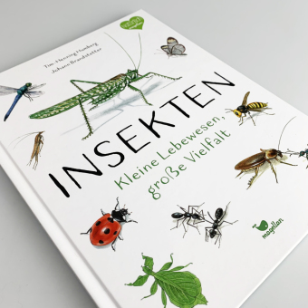Insekten - Kleine Lebewesen, große Vielfalt