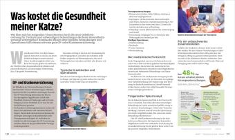Die große Katzenbibel