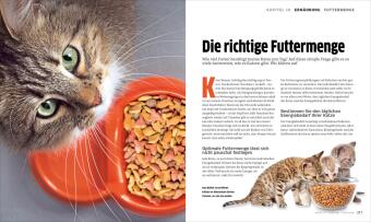 Die große Katzenbibel