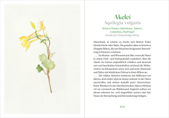 Marias heilige Kräuter