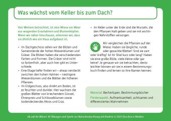 Ab auf die Wiese!