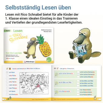 Lesen mit Rico Schnabel, Heft 3: Vom Wort zum Satz - silbierte Ausgabe