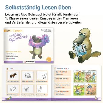 Lesen mit Rico Schnabel, Heft 4: Vom Satz zum Text - silbierte Ausgabe