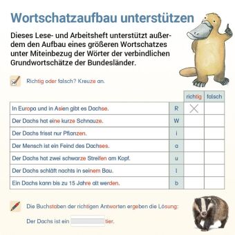 Lesen mit Rico Schnabel, Heft 7: Texte - silbierte Ausgabe