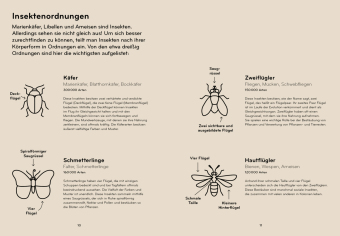 Insektorama