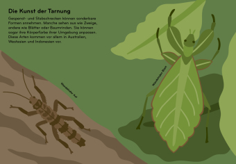 Insektorama