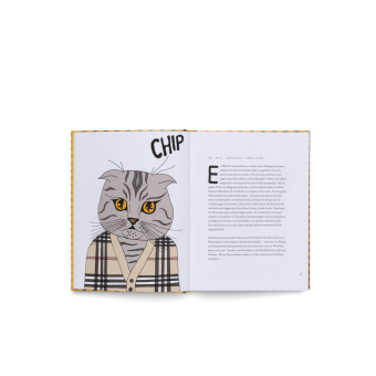 Blue Chip (DE)