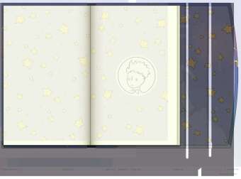 Der Kleine Prinz 2024 - Diary - Buchkalender - Taschenkalender - 10x15