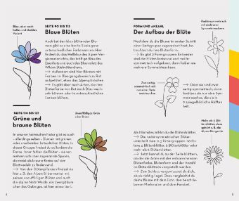 Basic Alpenblumen