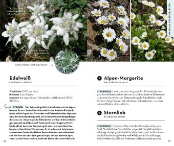 Basic Alpenblumen