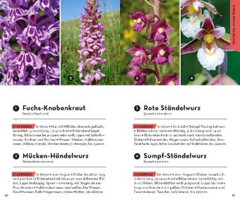 Basic Alpenblumen