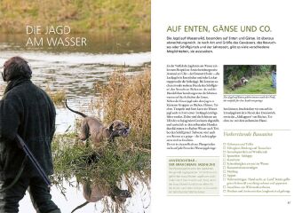 Die Ausbildung des Jagdhundes