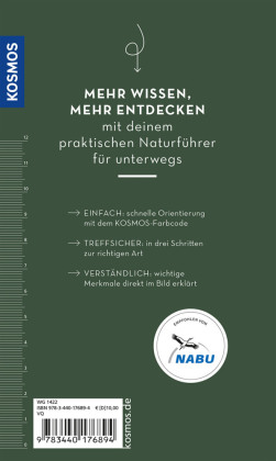 Basic Greifvögel und Eulen