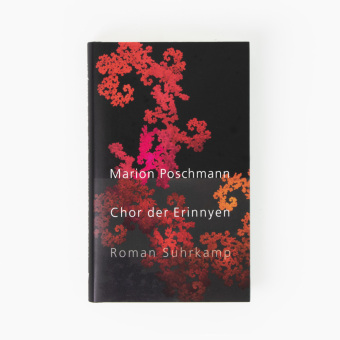 Chor der Erinnyen