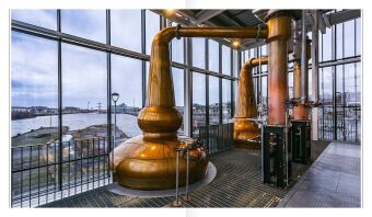 Scotch Whisky
