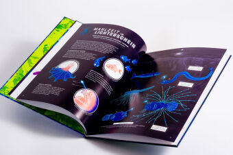 Glow - Das wundersame Leuchten der Natur